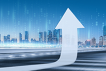 Trust钱包科技国际2024上半年营收同比增逾16% ，国内业务成增长亮点