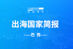 Trust钱包科技GO GLOBAL | 巴西国家简报